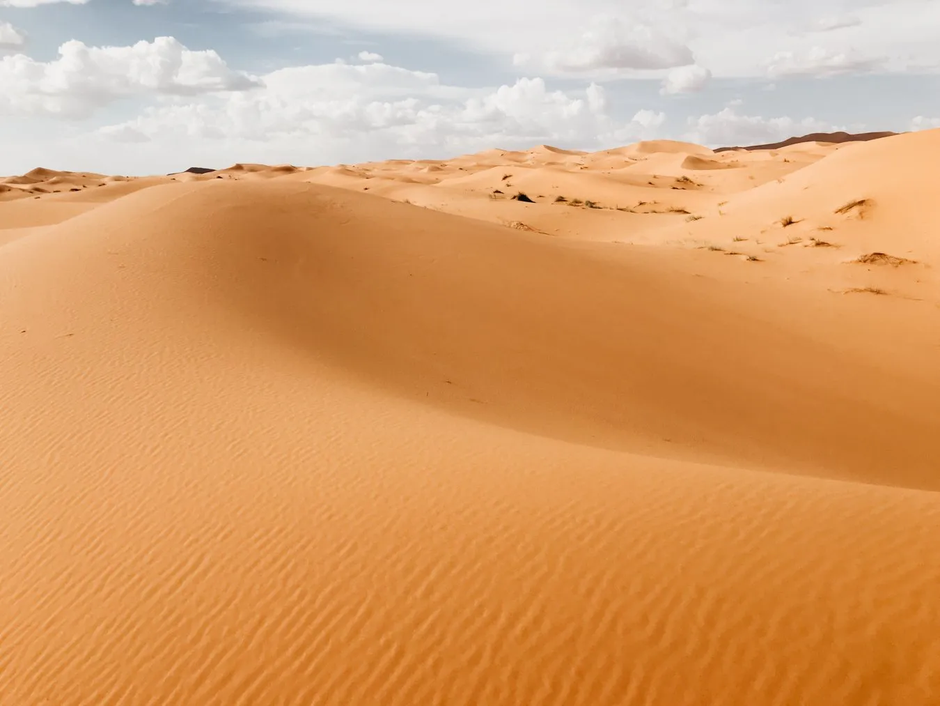 Photograph by Ricardo Teixeira