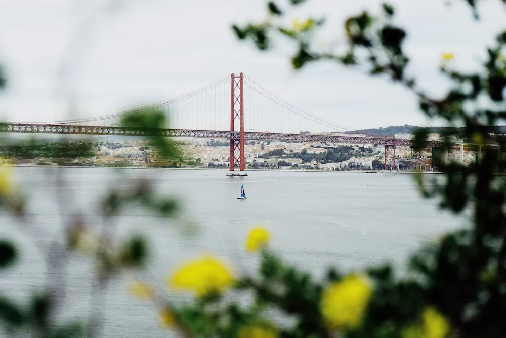 Fotografia de Ricardo Teixeira