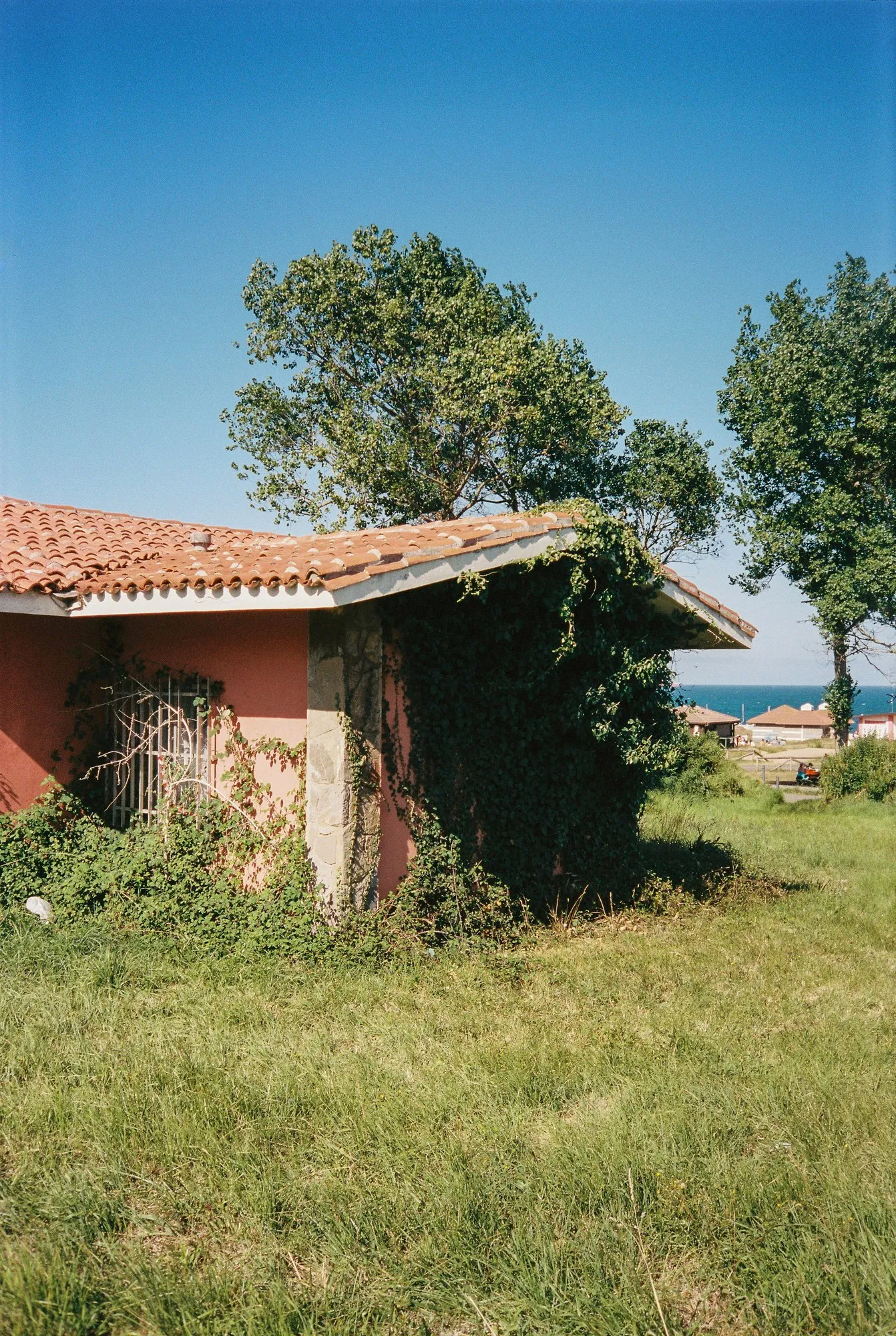 Photograph by Ricardo Teixeira
