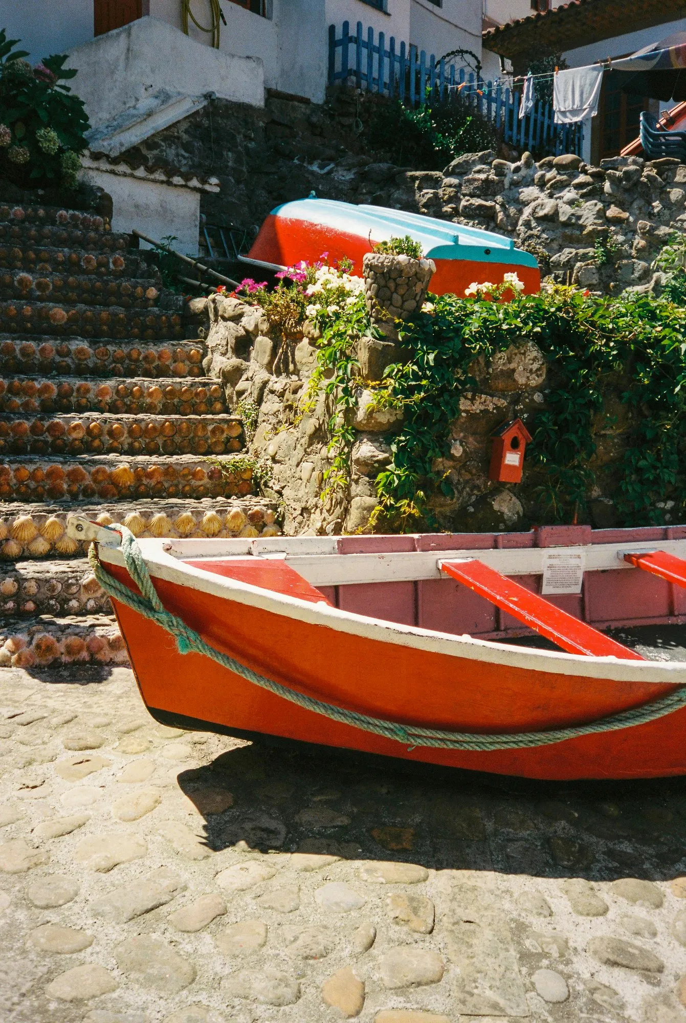 Photograph by Ricardo Teixeira