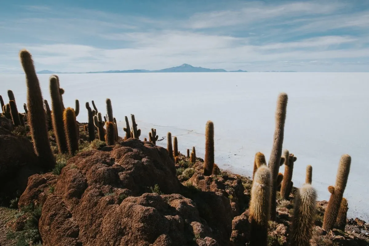 Photograph by Ricardo Teixeira